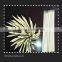 Perfect Quality Low Price Disposable 30cm Length Natural Bamboo Bbq Skewer/stick