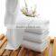 Gold supplier 100% cotton yarn dyed hotel terry towel