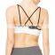 Women Fitness Gym Wear Sexy Padded Sports bra with Mesh Insert