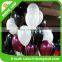 wholesale inflatable transparent latex balloon