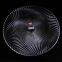 Dia 9.5inch classical design round Glass plate for weeding furit