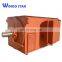 6kv 10kv three phase efficiency compressors ac electric motor