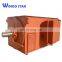 high voltage high efficiency bottom price y series three phase coal mines electric motor