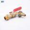 BT2005 good market brass bibcock blackmer pump tap