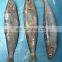 frozen sardine fish Sardinella Longiceps for bait and canning