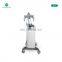 Sales new product 2022 intracel fractional rf microneedle machine microneeding rf beauty machine/rf machine