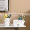 Nordic Creative Abstract Pure White Face Flower Pot Ceramic Face Vase For Home Decor