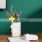 Nordic Creative Abstract Pure White Face Flower Pot Ceramic Face Vase For Home Decor