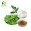 Hight Purity 99% Tea Polyphenols Best Green Tea Extract  Cas.NO 3081-61-6 40% L-Theanine