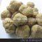 Soya Nuggets Machine