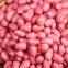 Organic Grain Quinoa Rice Glutinous Rice Buckwheat Rice