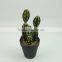 Desk decoration artificial cactus plants with plastic pot