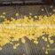 Automatic Roasted Breakfast Cereal Corn Flakes Extrusion Machine