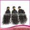 Unprocessed Cheap 100%Virgin Human Hair Indian Hair Extension For Water Wave Curly
