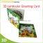 WenZhou Chongkun Supply 3D Lenticular Pritning greeting card pop up card 3d card