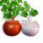 Different Color Plastic Onion Shaped Container Box