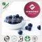 100% Natural Blueberry Fruit Extract Powder