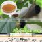 Mulberry Extract 10:1/ 1-dnj mulberry leaf extract/ In Health&Medical