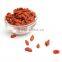 Plumpy dried Goji berries Grains/50G Ningxia Dried Goji berry nutrition Ningxia Goji berries dried fruit to export abroad