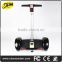 New Arrival 10 inch big tire two wheel smart self balancing electric with handle drift board scooter