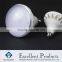 LED PAR lamps 20W frosted cover