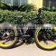 Fat tyre for snow road Electric bicycle