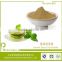 Instant green tea powder high grade tea powder