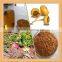 Natural OPC 95% Low price Pine bark extract