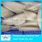 Cleaned illex squid tube U4