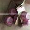 Manufacture of custom fancy waterproof cake cup