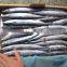 BQF indian mackerel best sale pacific saury frozen fish for bait