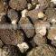 Morchella Esculenta Morel Morels Mushroom Dried Fresh Pure Natural Edible mushrooms yellow morel, true morel,Made in Turkey