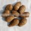 fresh potatoes chinese lipu taro for sale