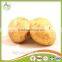 2016 Cheap Price Fresh Holland Potato