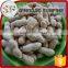Skin extract organic roasted peanuts in shell