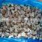 Cut Frozen oyster mushroom pleurotus ostreatus