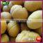 2015 New Bulk Organic All Frozen Shelled Roasted Chestnuts Food
