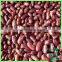 200-220Pcs/100G Red Speckled Kidney Bean