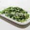 AD Type Dehydrated Chive Supplier