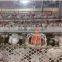 broiler equipment automatic chicken feeder for poultry house