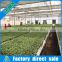 Hot sale rolling bench seed bed for agriculture greenhouse