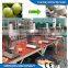 High capacity automatic green coconut peeling machine