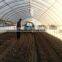 high quality tobacco seedling transplanter