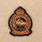 Fashion mixed embroidered badge applique patch for women clothing