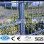 wholesale Powder Coated CE&ISO certificated Wire Fence(professional manufacturer)