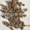 Granular clay ball price,lightweight expanded clay aggregate for sale
