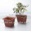 square garden plastic terracotta pots wholesale