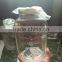 Glass mason jar beverage juice dispenser with tap/faucet-4/8L/litre