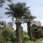 SJ12001203 date palm canary island palm tree artificial