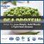 Pea Protein Isolate Powder